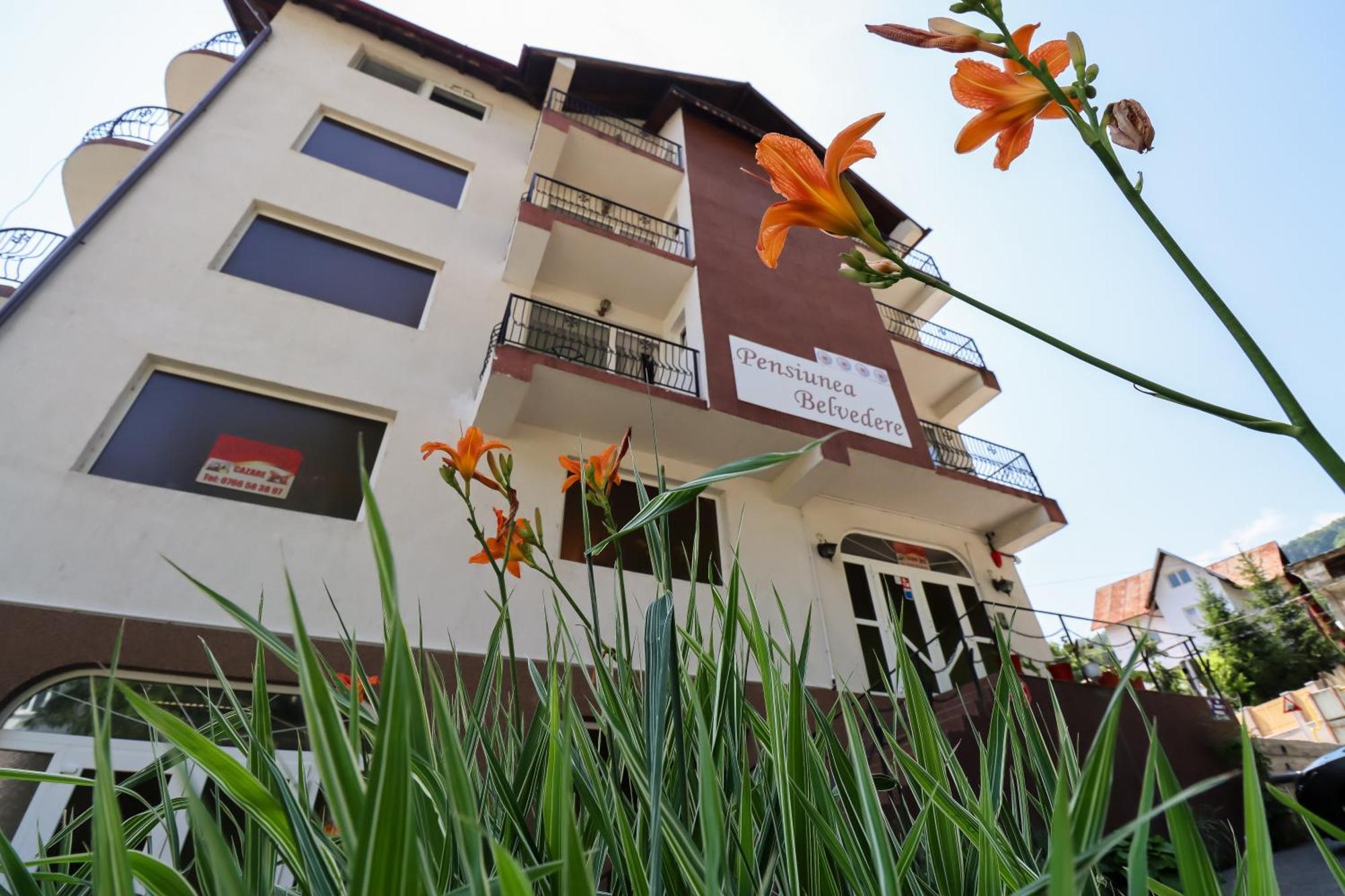 Guest house Belvedere Olanesti