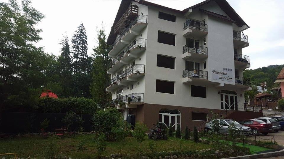 Belvedere Olanesti *